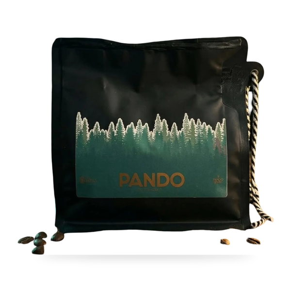 Rey Árbol Café PANDO 6 Meses en Barrica