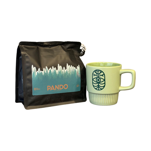 Rey Árbol Café PANDO + taza