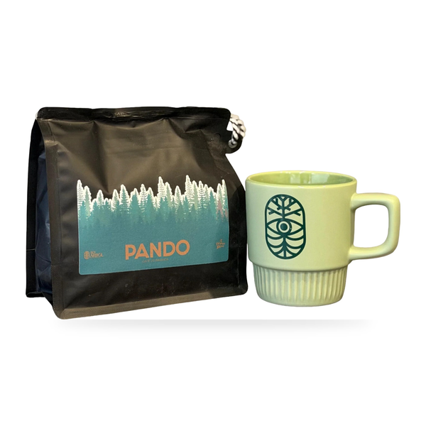 Rey Árbol Café PANDO + taza