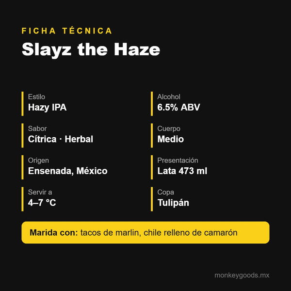 Ficha técnica Slayz the Haze
