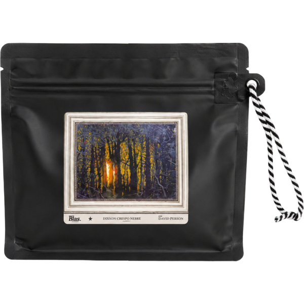Rey Árbol Café Dixson