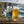 Basqueland Mullaghmore Big servida en su copa