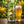Pipeworks Lizard King servida en su copa