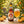 Hitachino Dai Dai IPA servida en su copa
