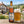 Weihenstephaner 1516 Kellerbier servida en su copa