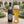 Weihenstephaner Hefeweissbier servida en su copa