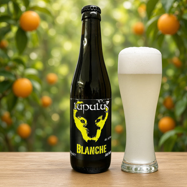Lupulus Blanche servida en su copa