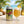 Omnipollo Barrel Aged Piña Colada servida en su copa