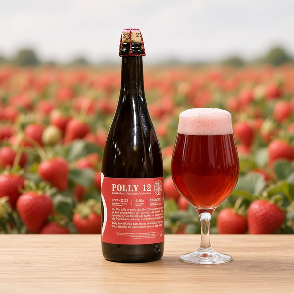 Mikkeller & 3 Fonteinen Polly 12 servida en su copa