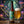 Belching Beaver Outside Your Mind servida en su copa