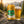 Sierra Nevada Trail Pass Golden servida en su copa