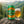 Sierra Nevada Non-Alcoholic Trail Pass IPA servida en su copa