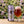 Rogue Blackberry Honey servida en su copa