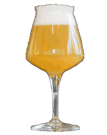 2 Hazy IPA