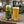 Great Notion Easy Lift servida en su vaso