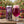 Great Notion Jammy Pants servida en su vaso